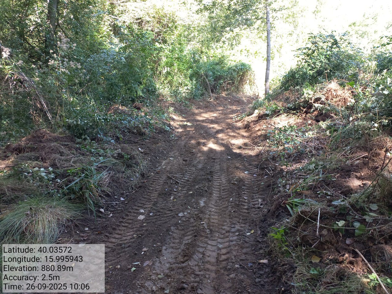 Galleria Fotografica Immagine