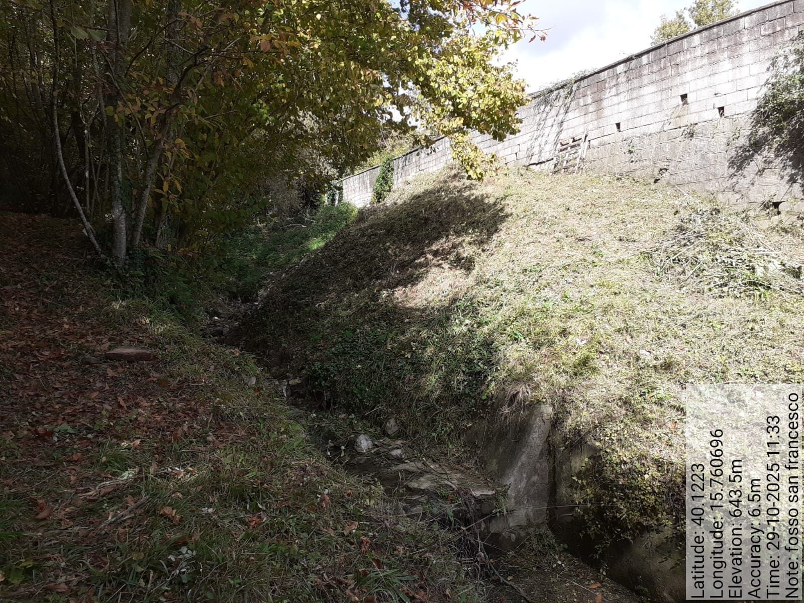 Galleria Fotografica Immagine