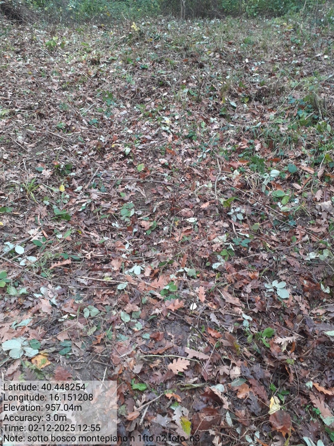 Galleria Fotografica Immagine