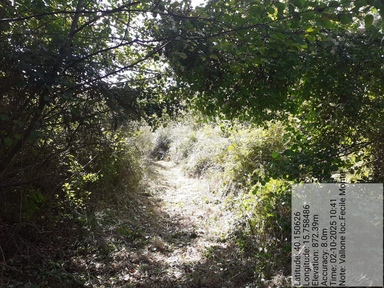 Galleria Fotografica Immagine