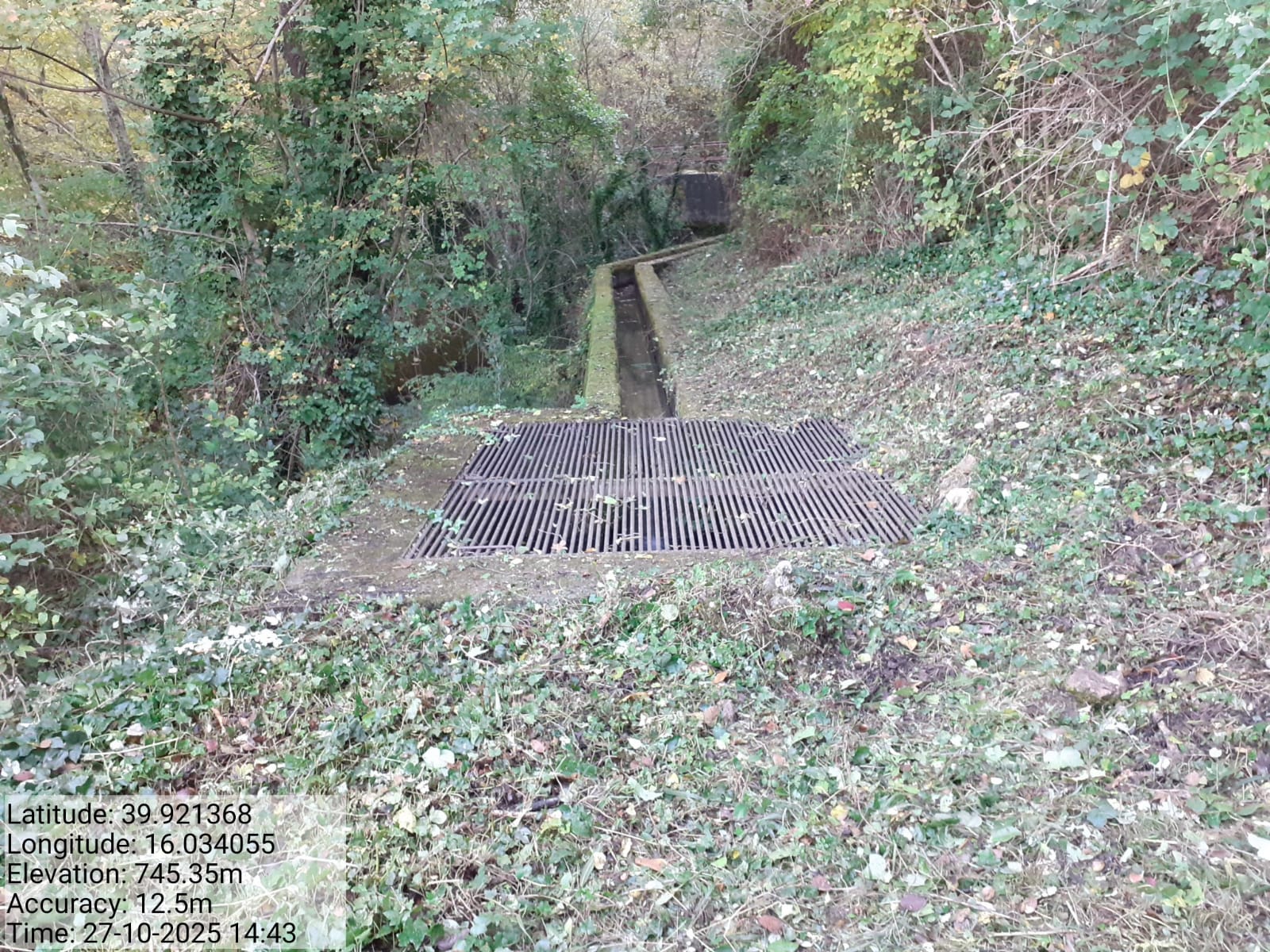 Galleria Fotografica Immagine