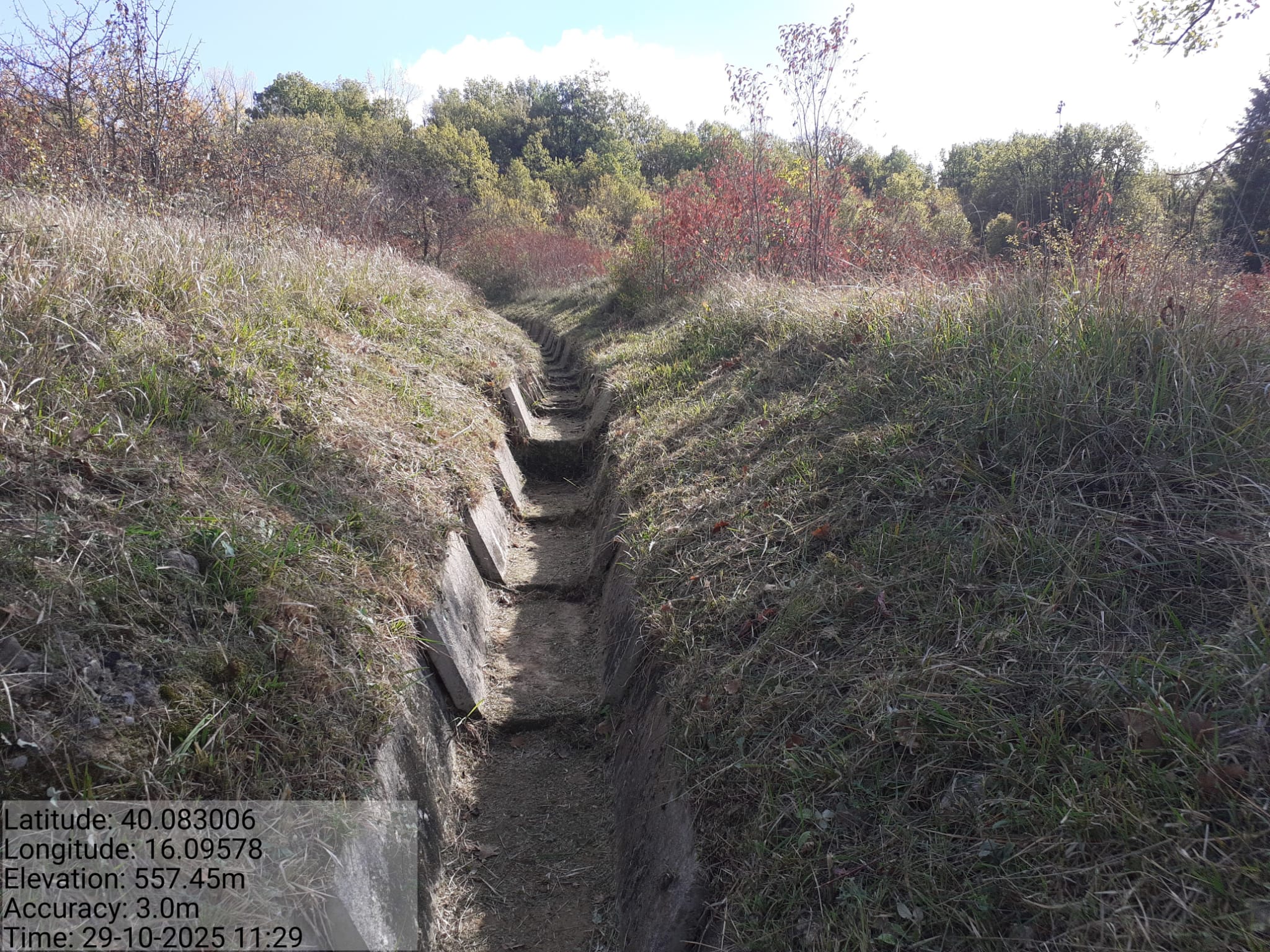 Galleria Fotografica Immagine