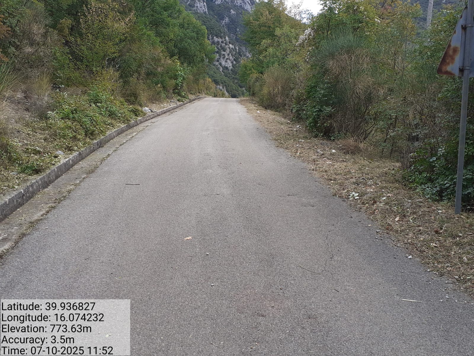 Galleria Fotografica Immagine