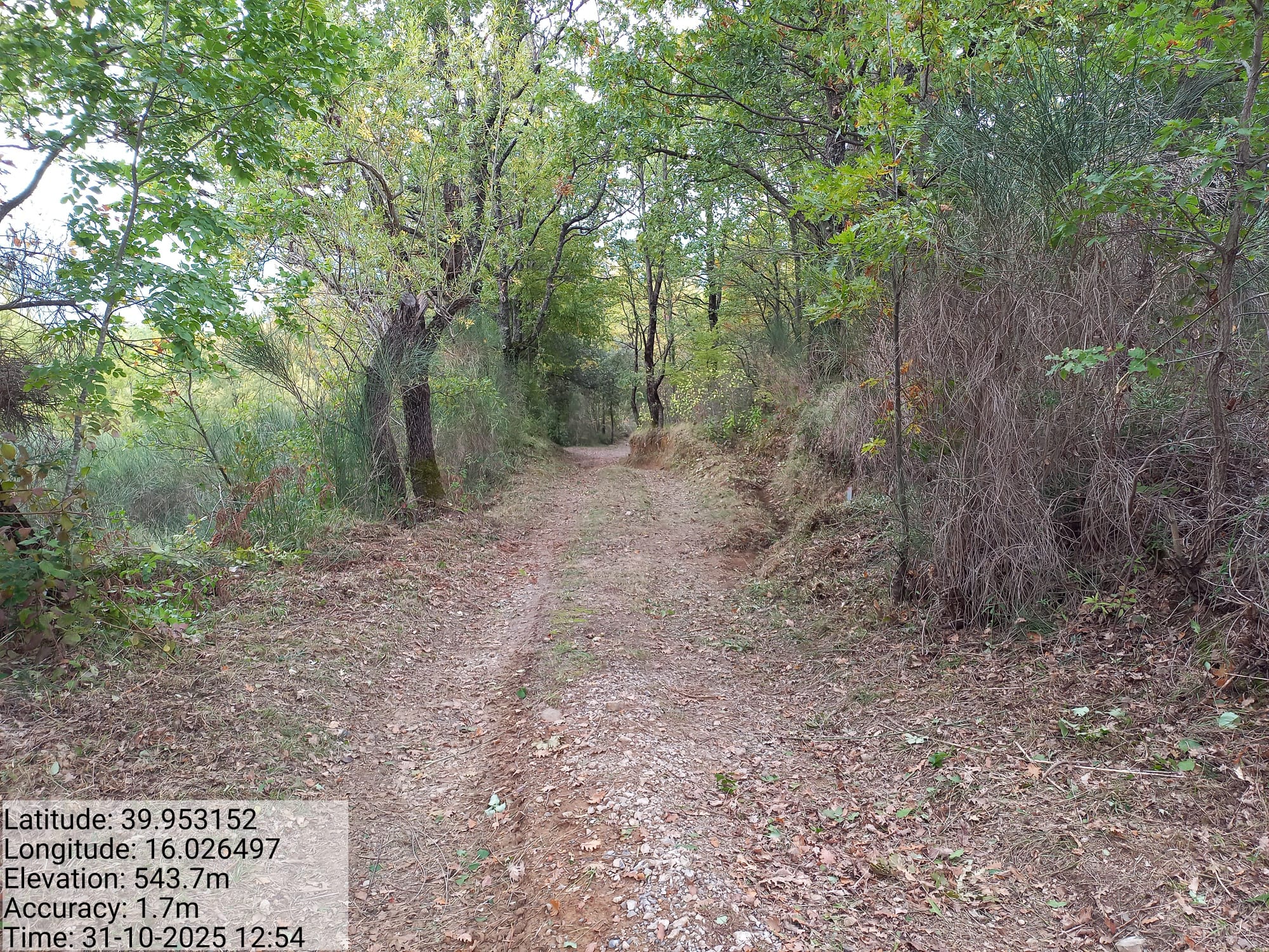 Galleria Fotografica Immagine