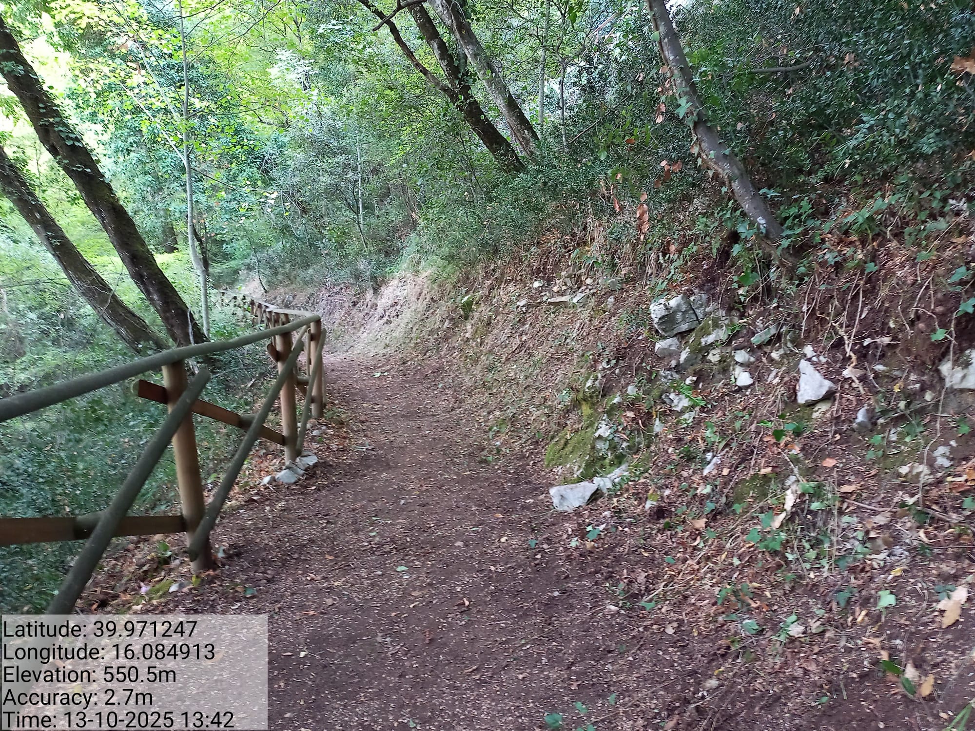 Galleria Fotografica Immagine