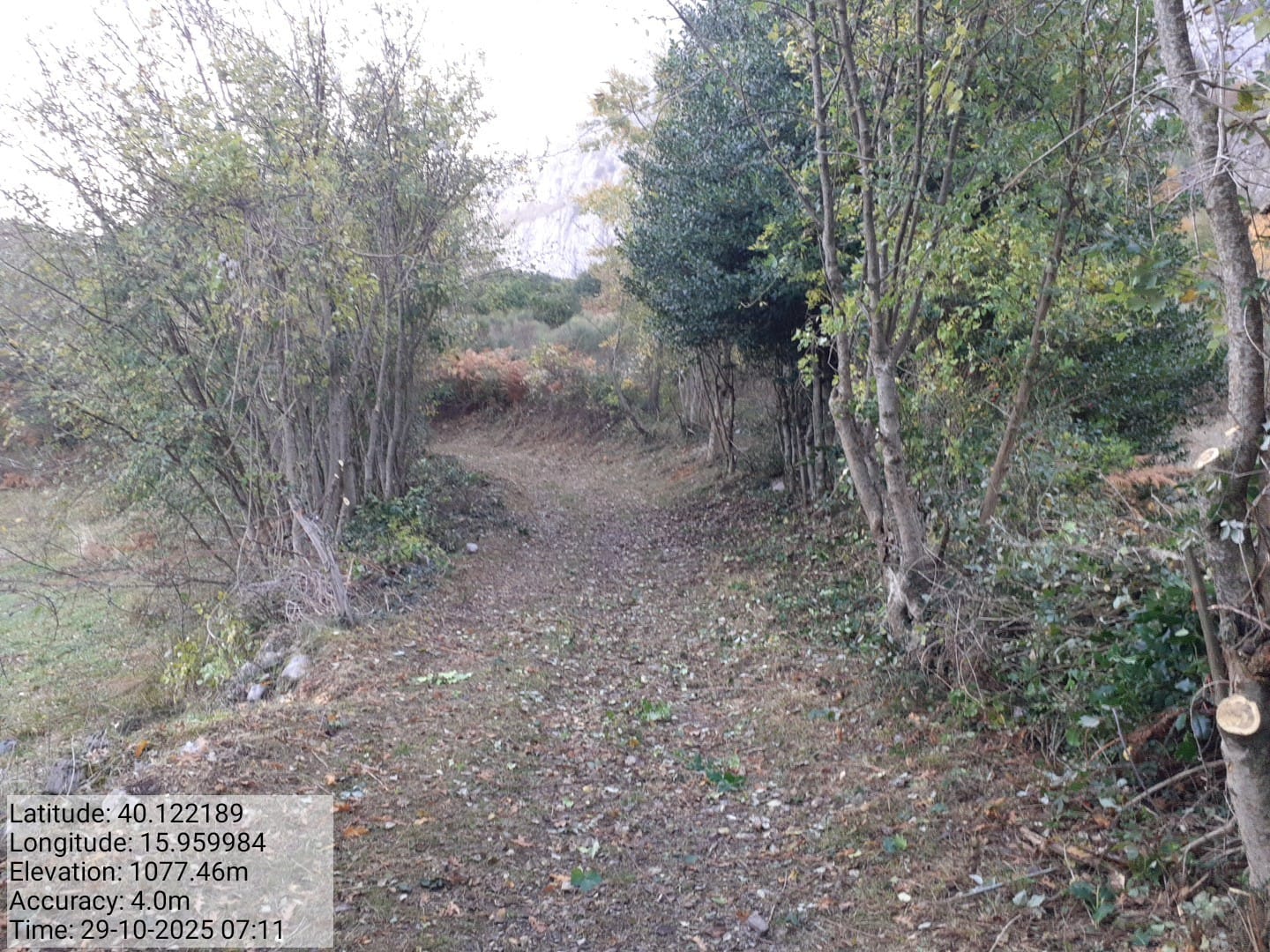 Galleria Fotografica Immagine