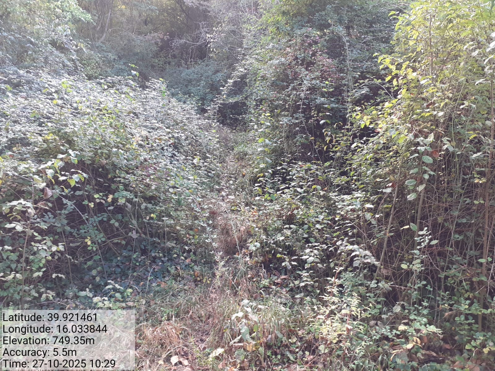 Galleria Fotografica Immagine