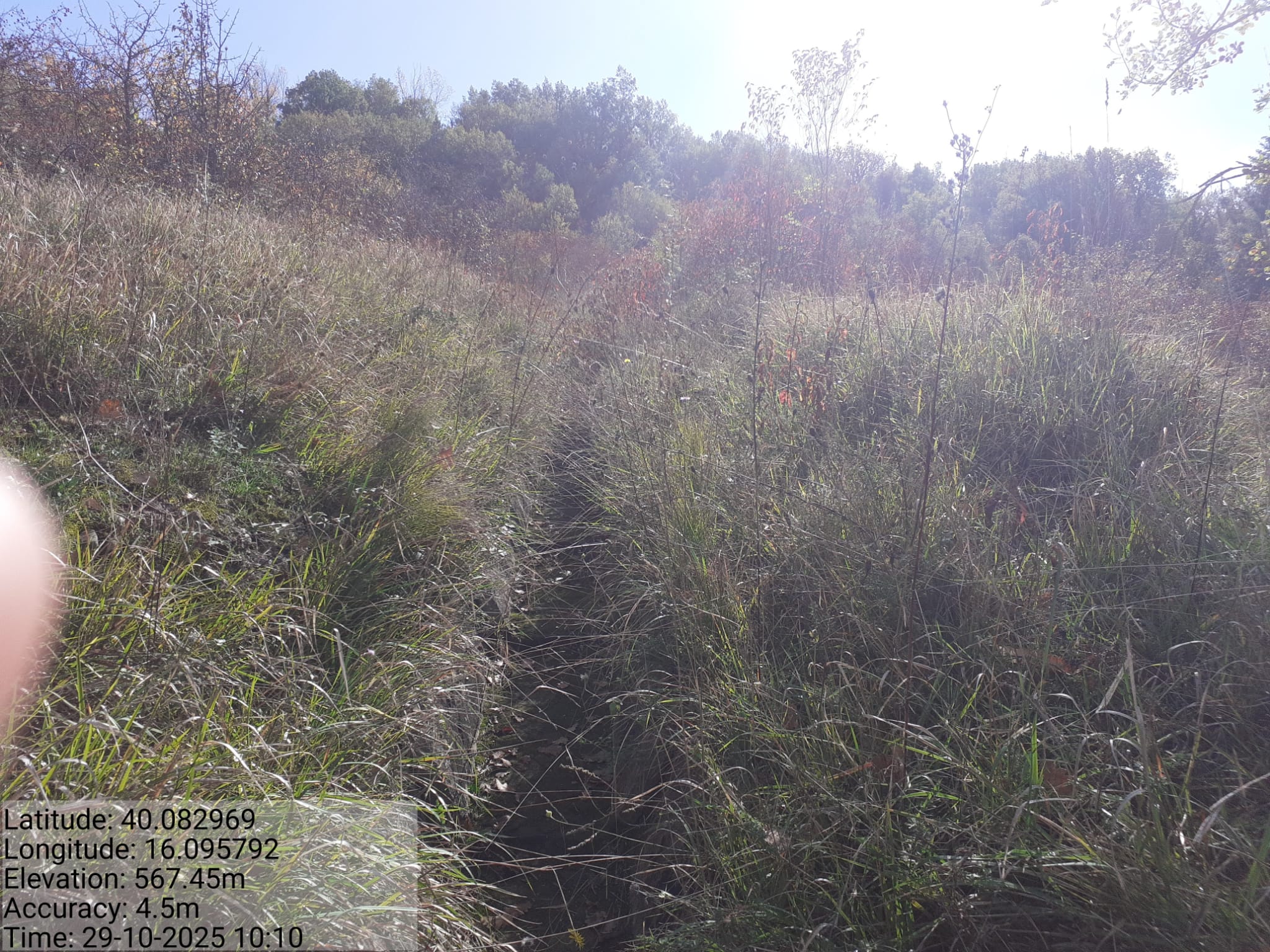 Galleria Fotografica Immagine