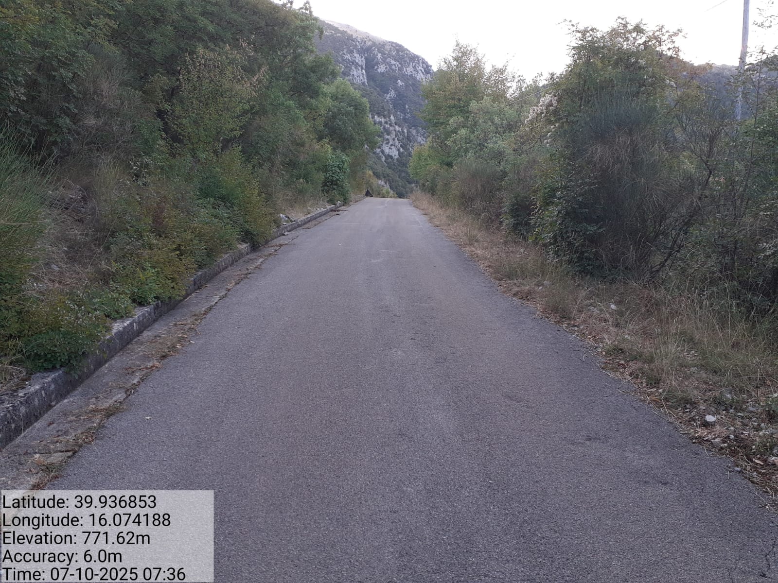 Galleria Fotografica Immagine