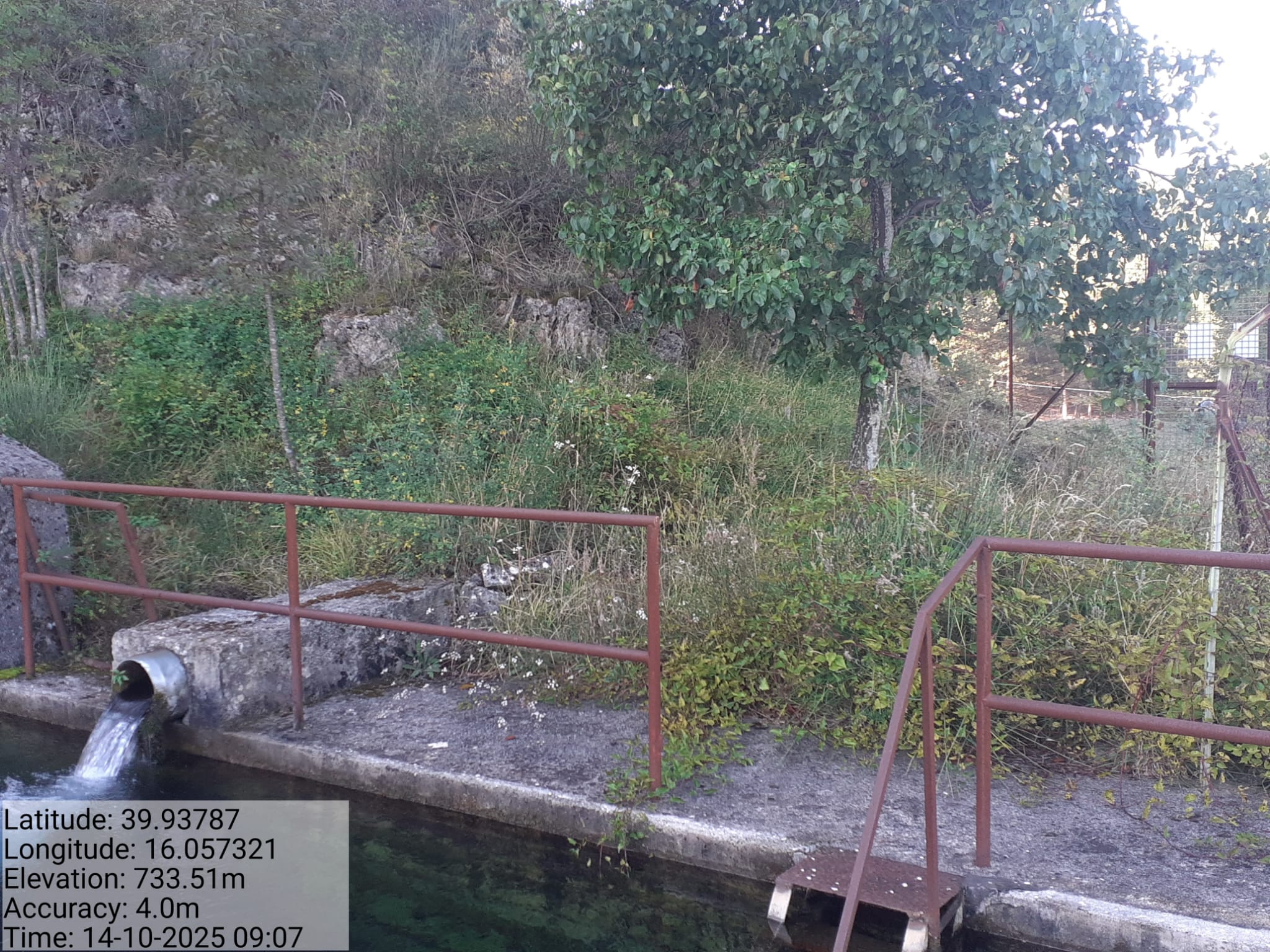 Galleria Fotografica Immagine