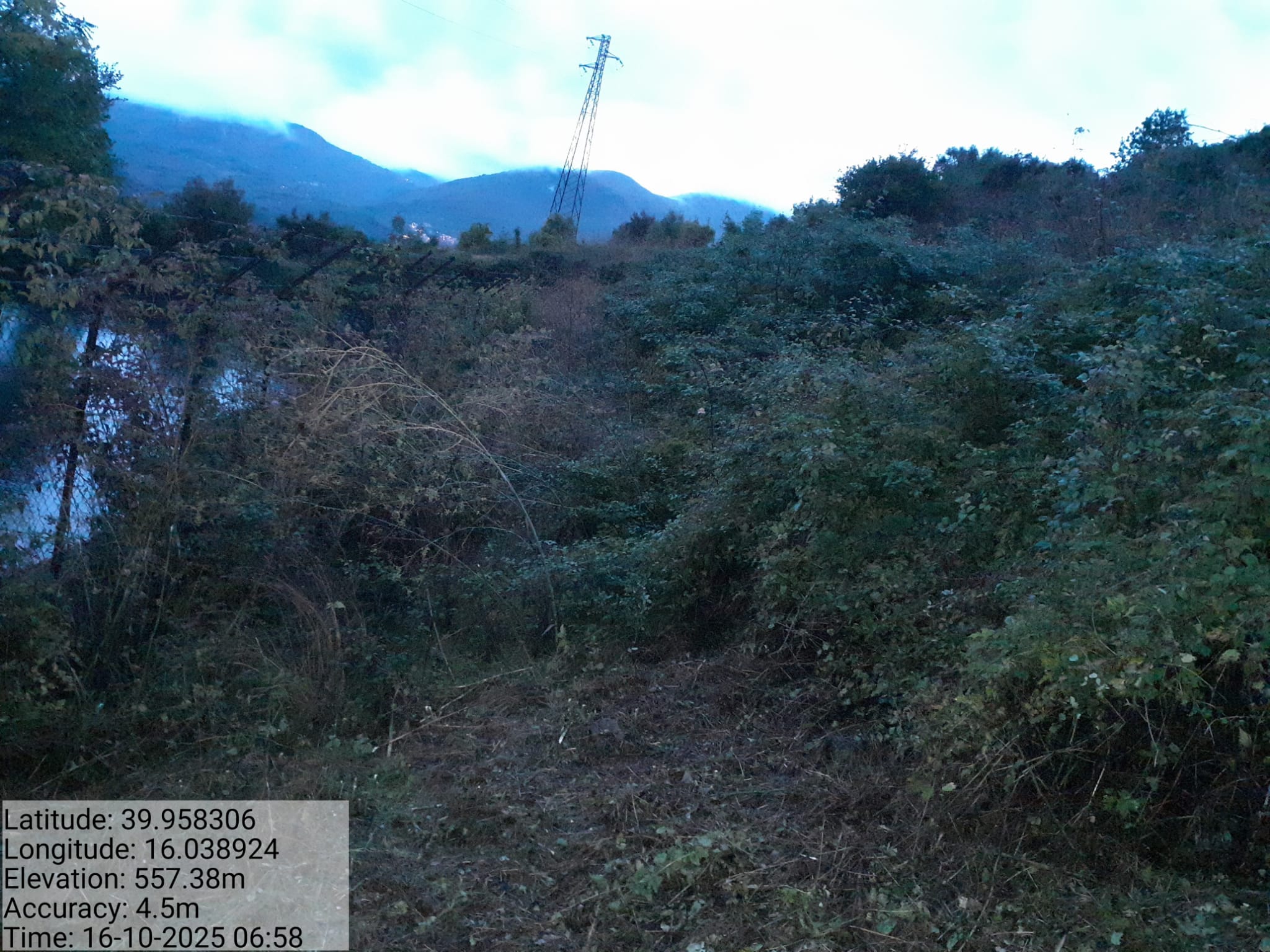 Galleria Fotografica Immagine