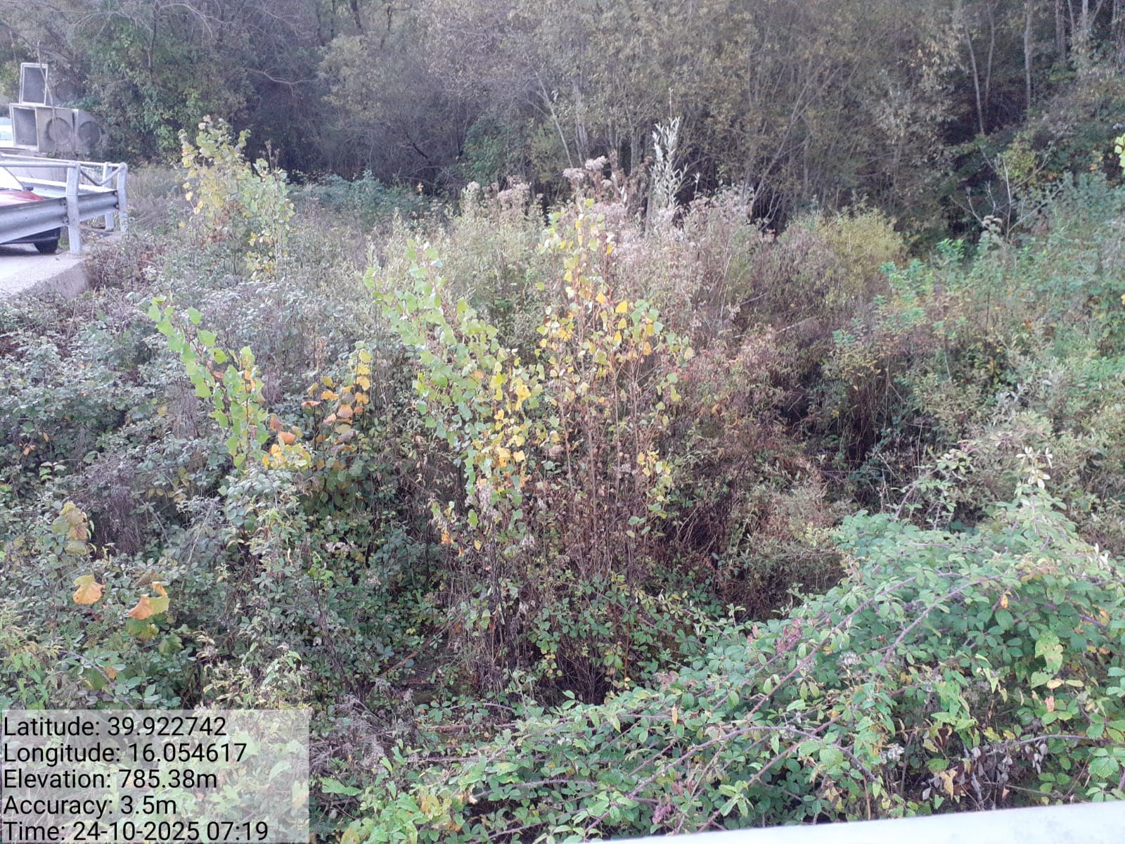 Galleria Fotografica Immagine