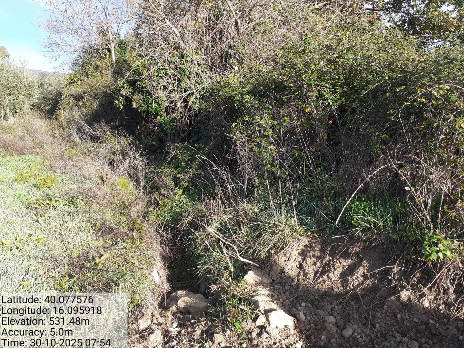 Galleria Fotografica Immagine