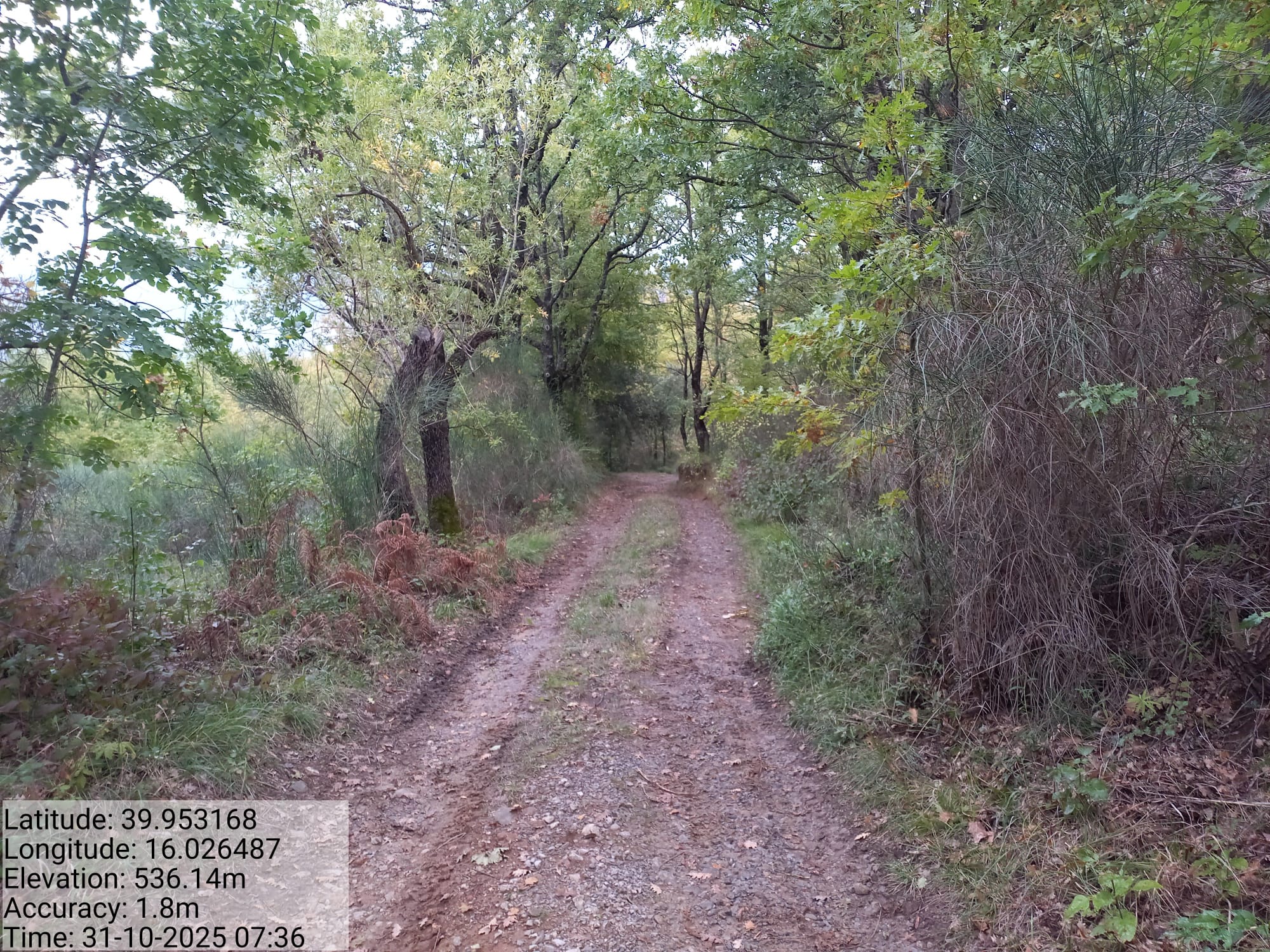 Galleria Fotografica Immagine