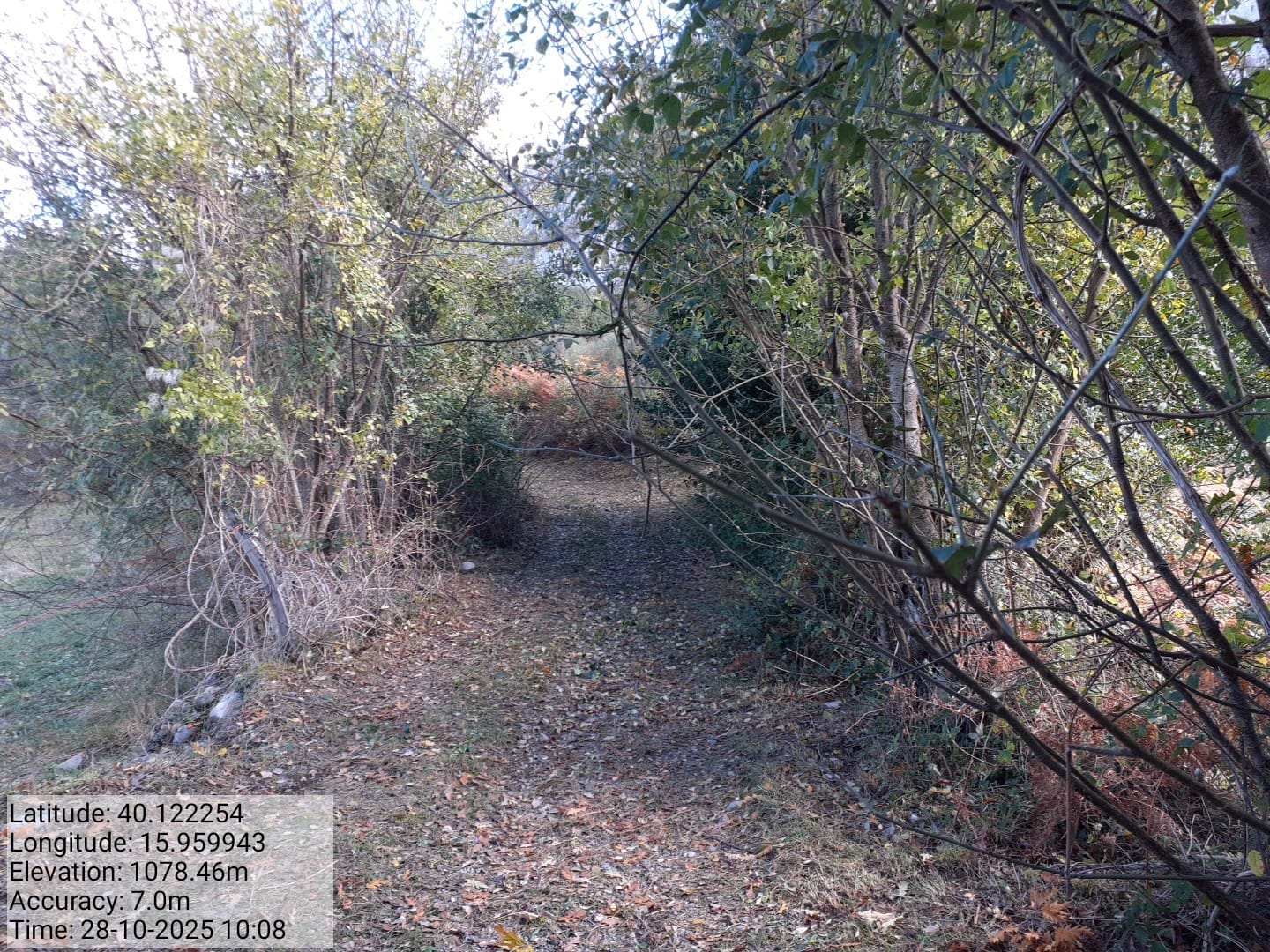 Galleria Fotografica Immagine