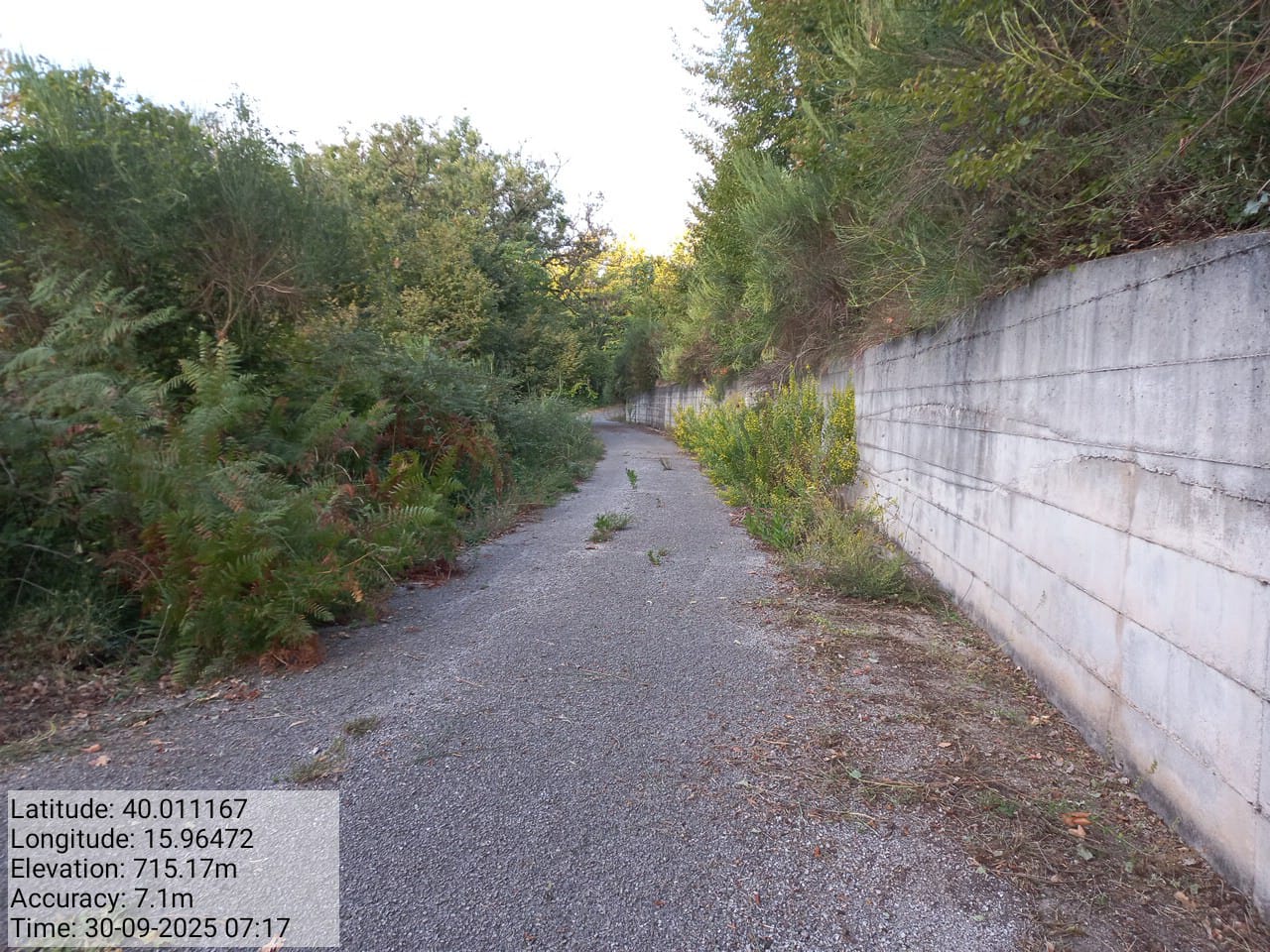 Galleria Fotografica Immagine