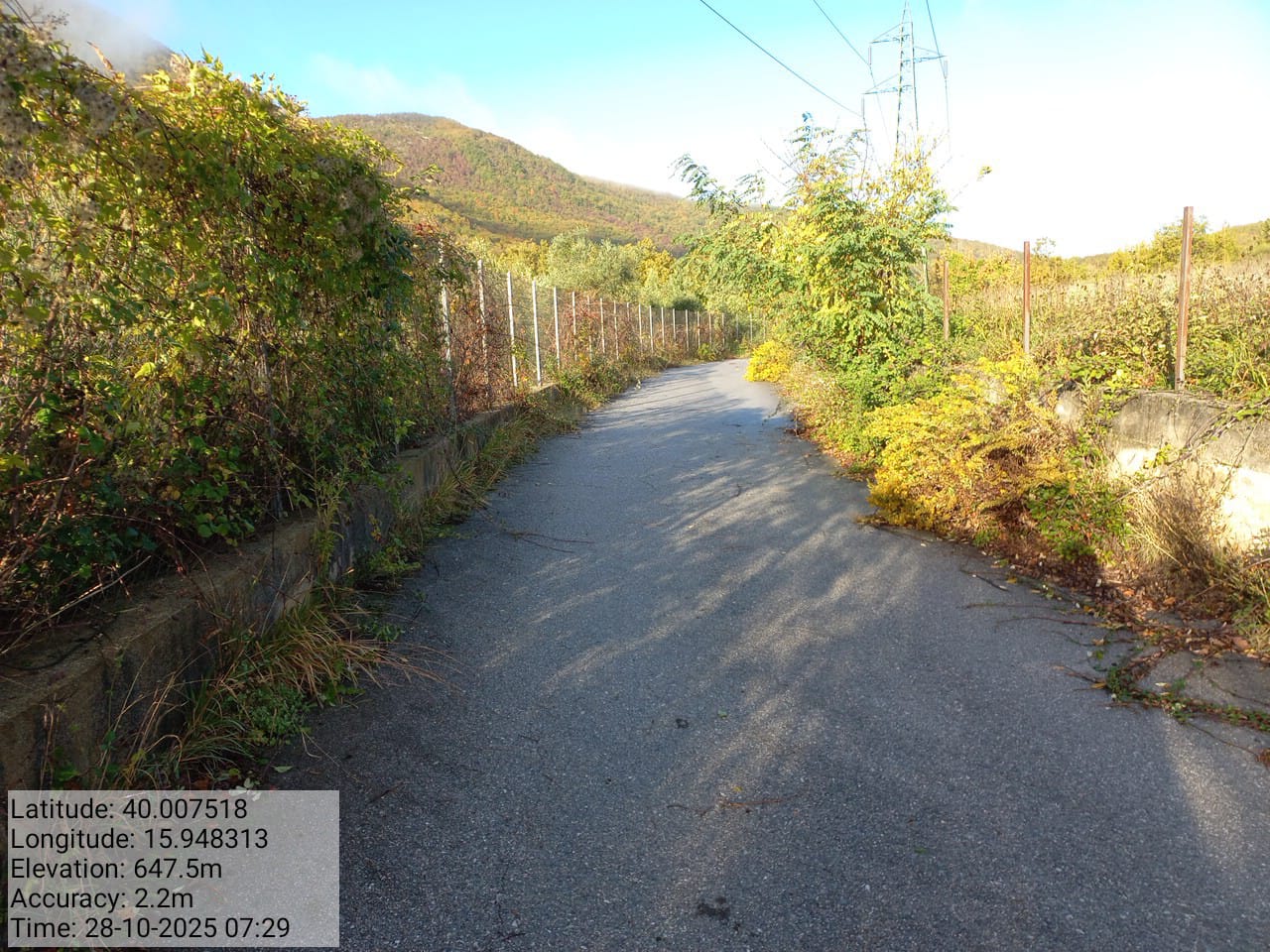 Galleria Fotografica Immagine