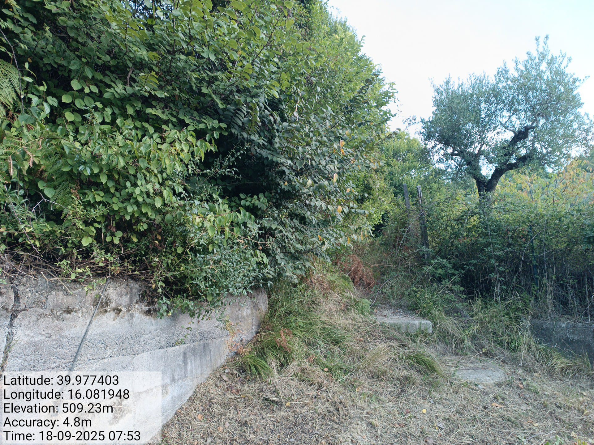 Galleria Fotografica Immagine