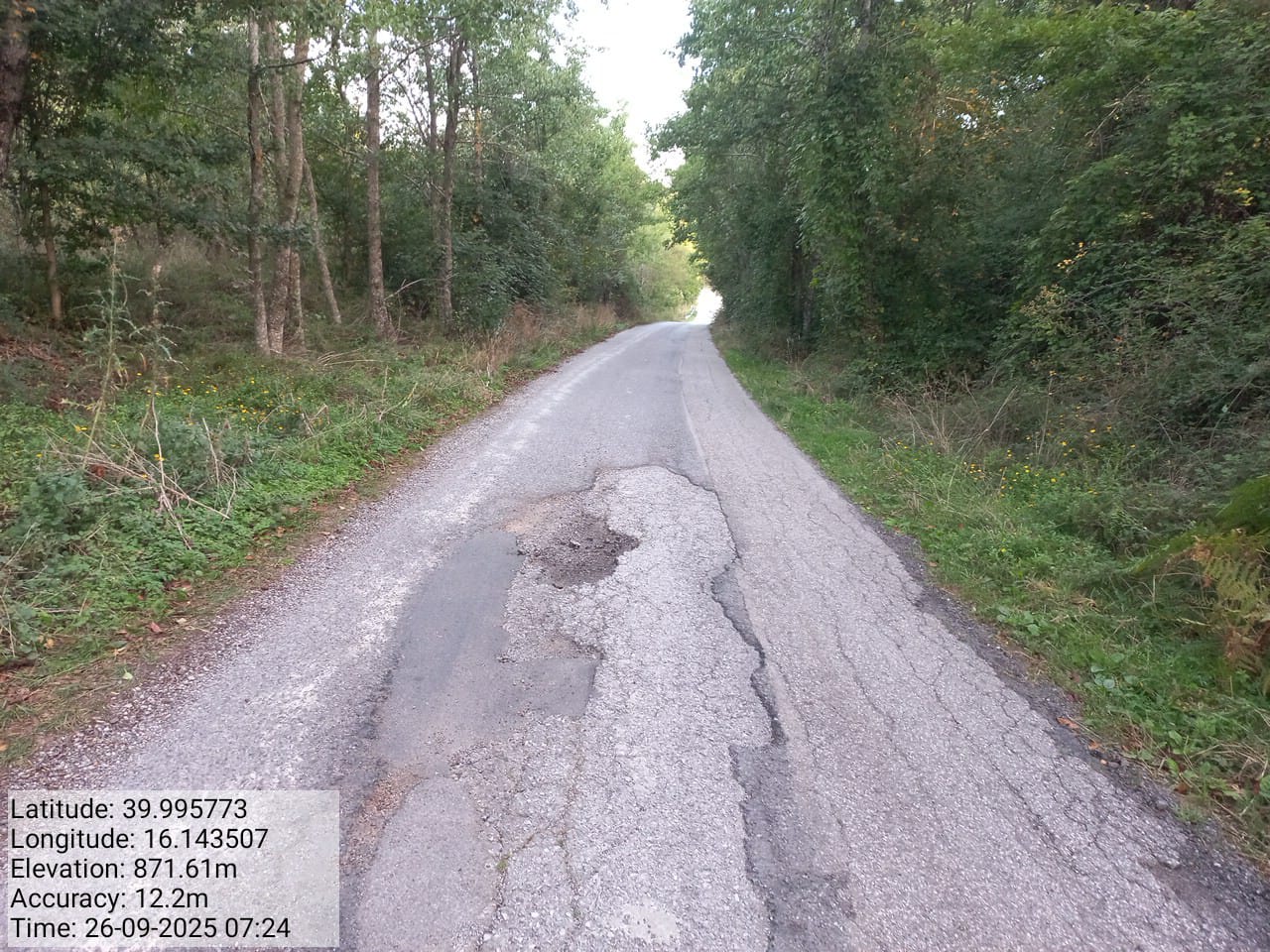 Galleria Fotografica Immagine