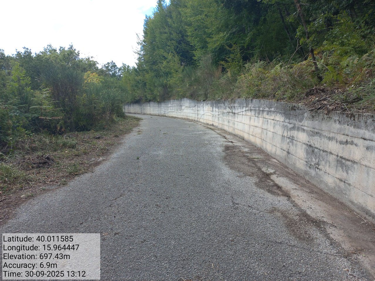 Galleria Fotografica Immagine