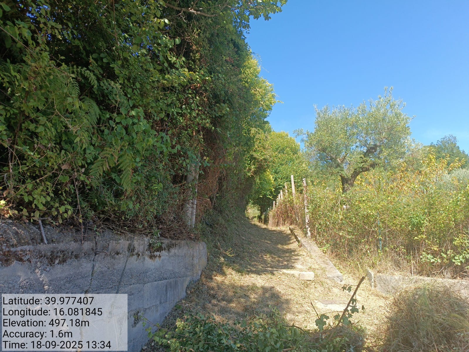 Galleria Fotografica Immagine