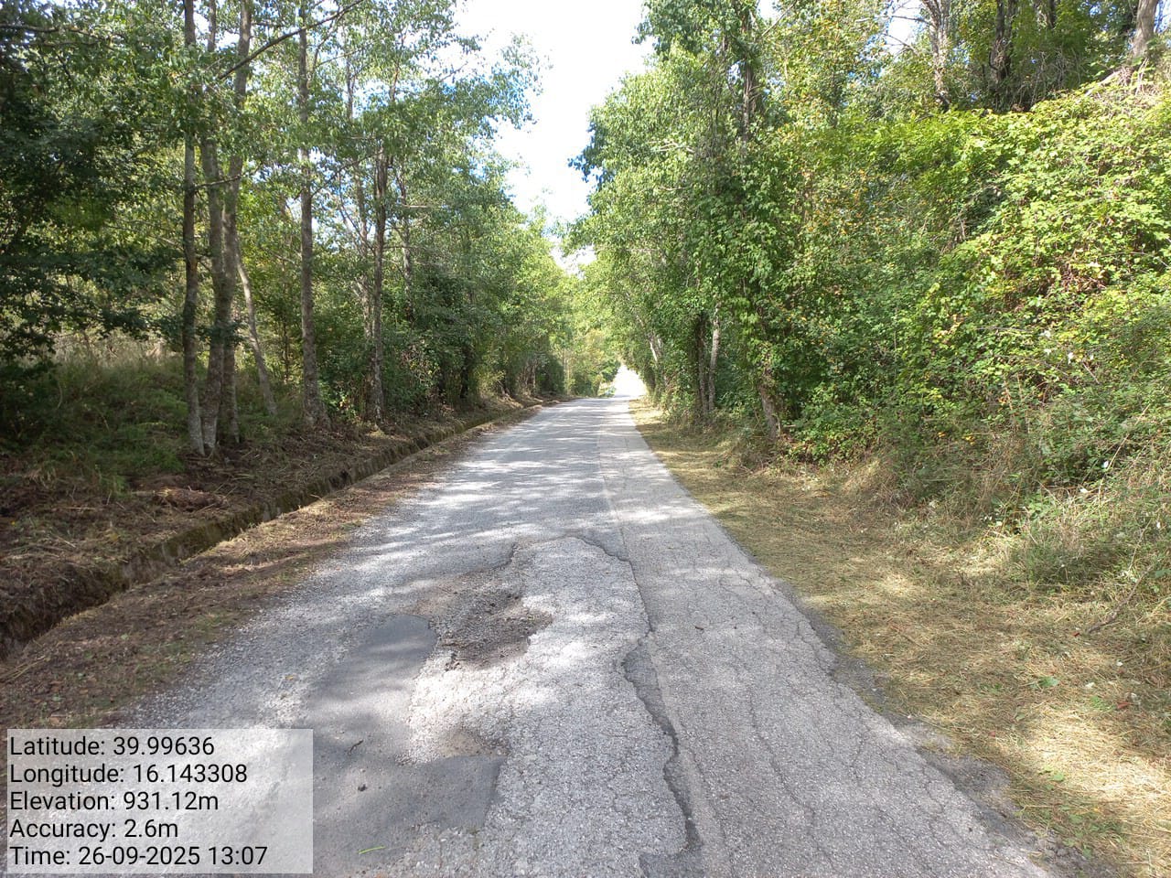 Galleria Fotografica Immagine