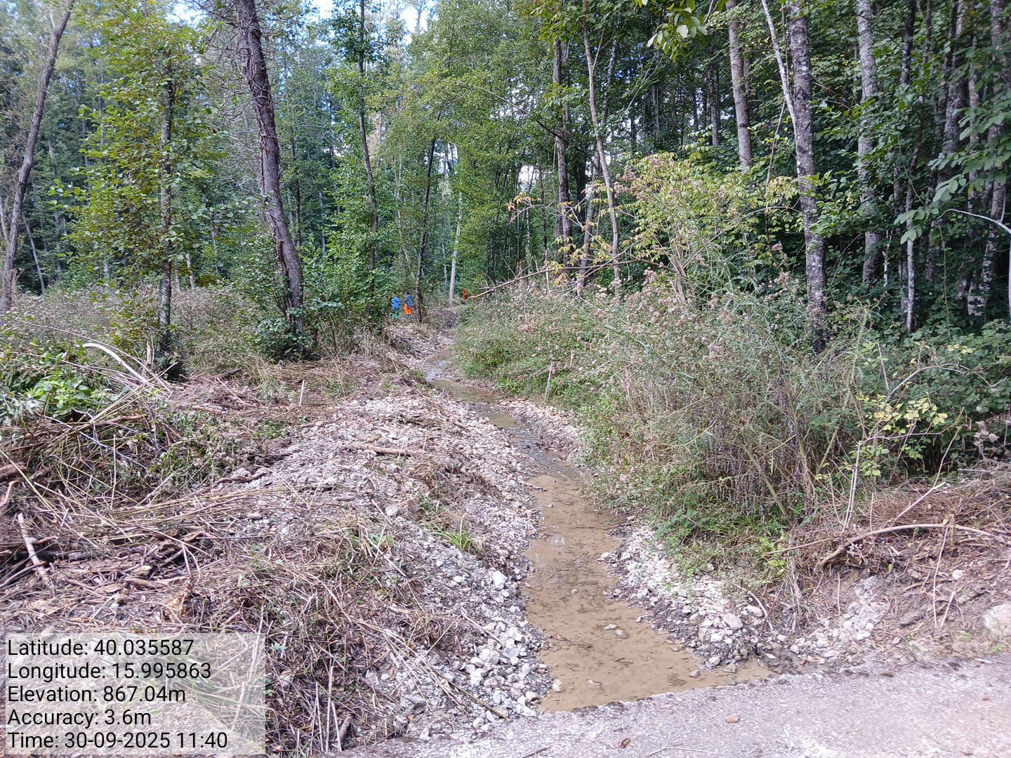 Galleria Fotografica Immagine