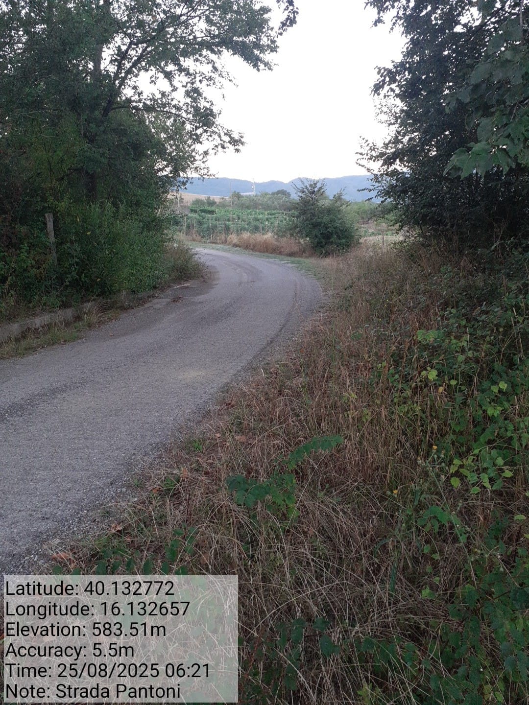 Galleria Fotografica Immagine