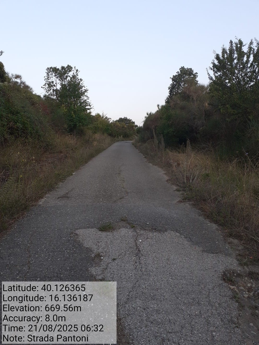 Galleria Fotografica Immagine