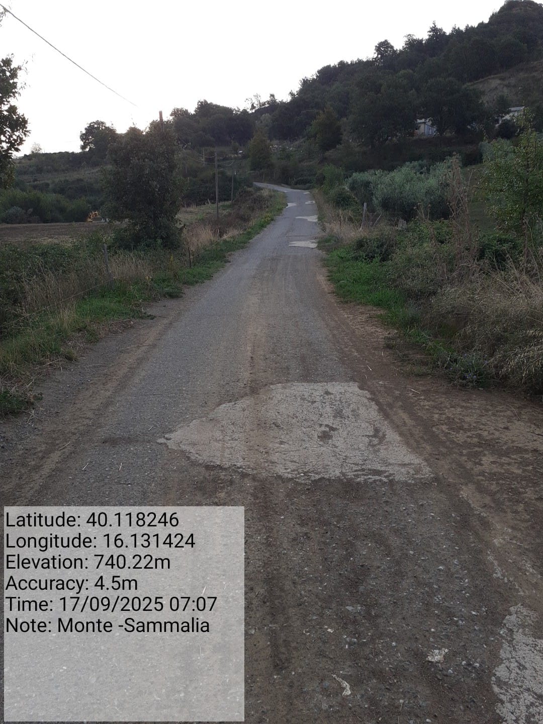 Galleria Fotografica Immagine