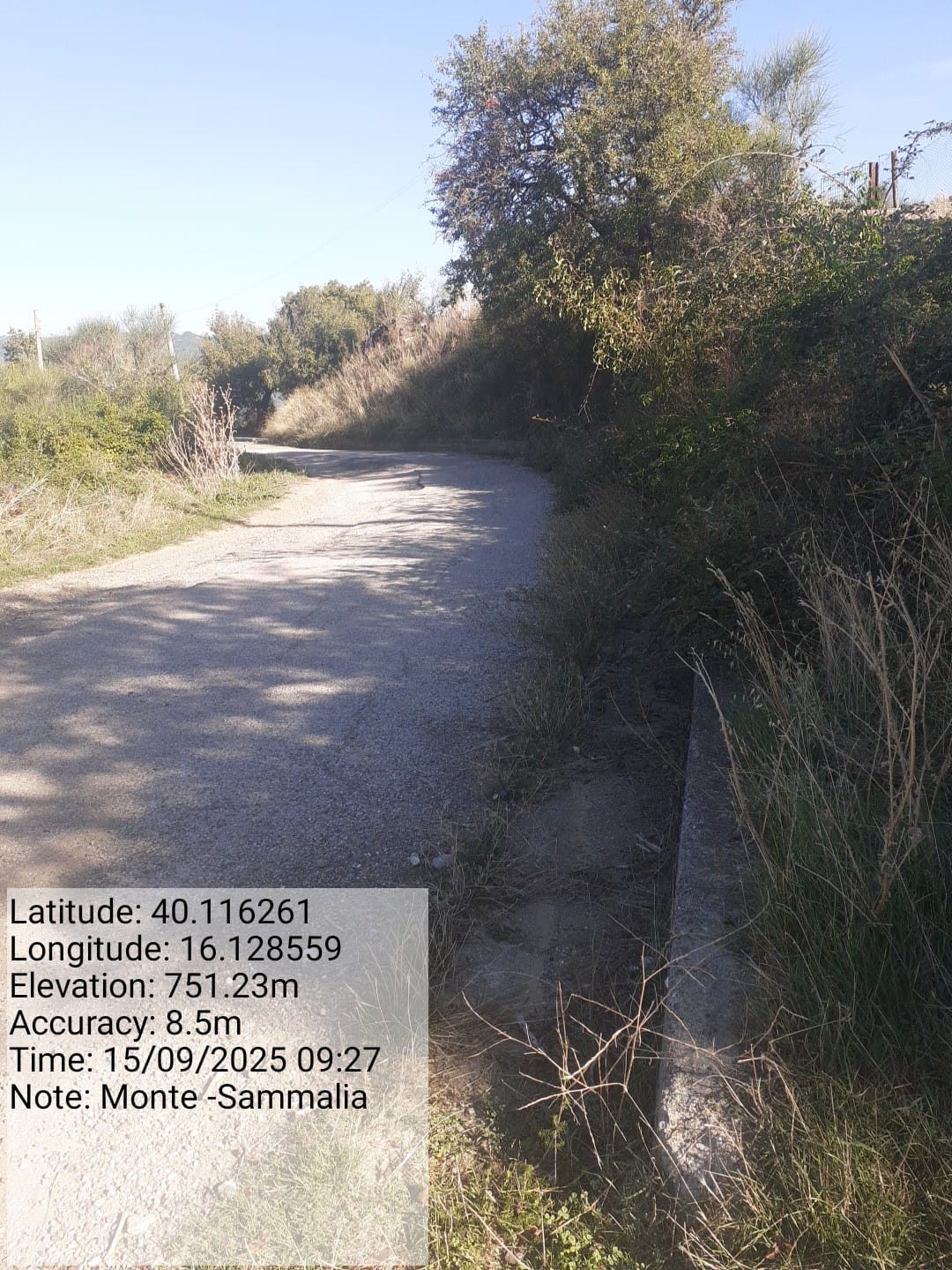 Galleria Fotografica Immagine