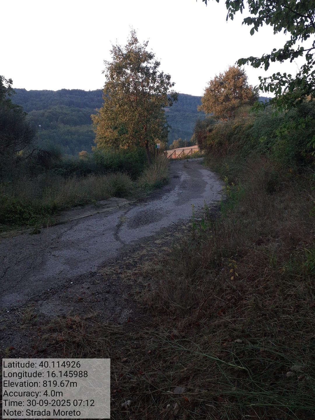 Galleria Fotografica Immagine