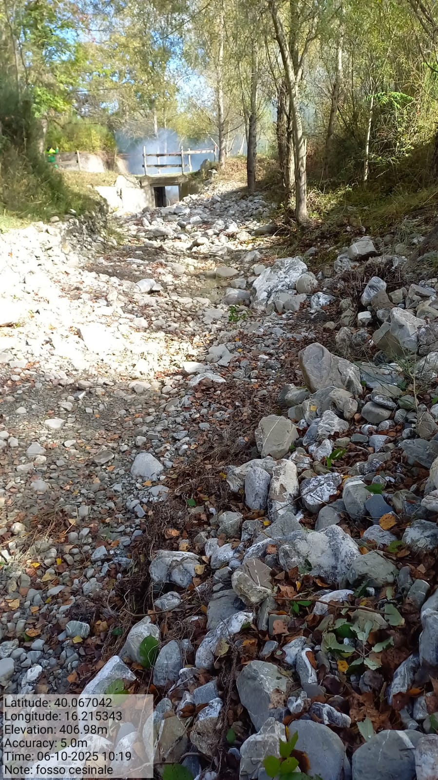 Galleria Fotografica Immagine