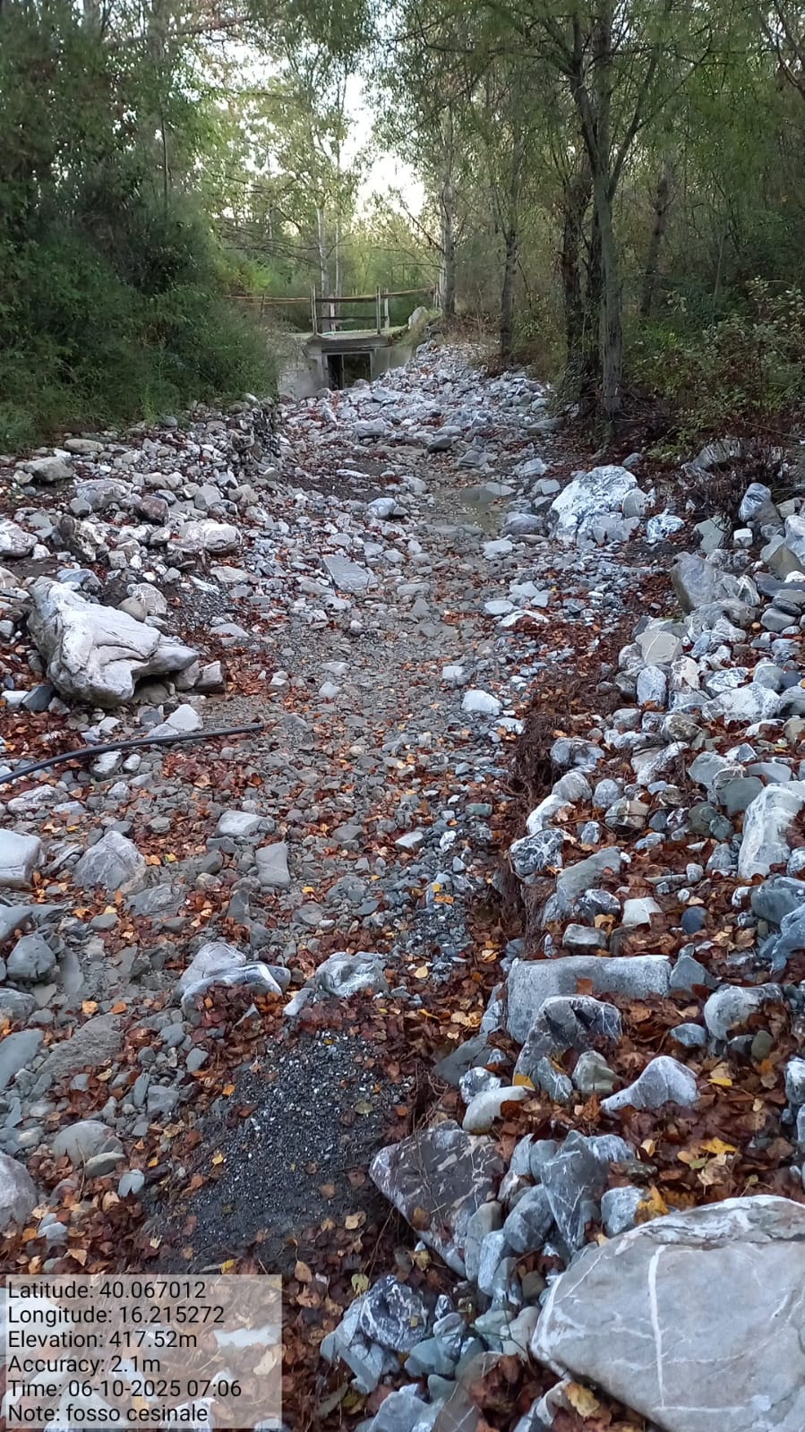 Galleria Fotografica Immagine