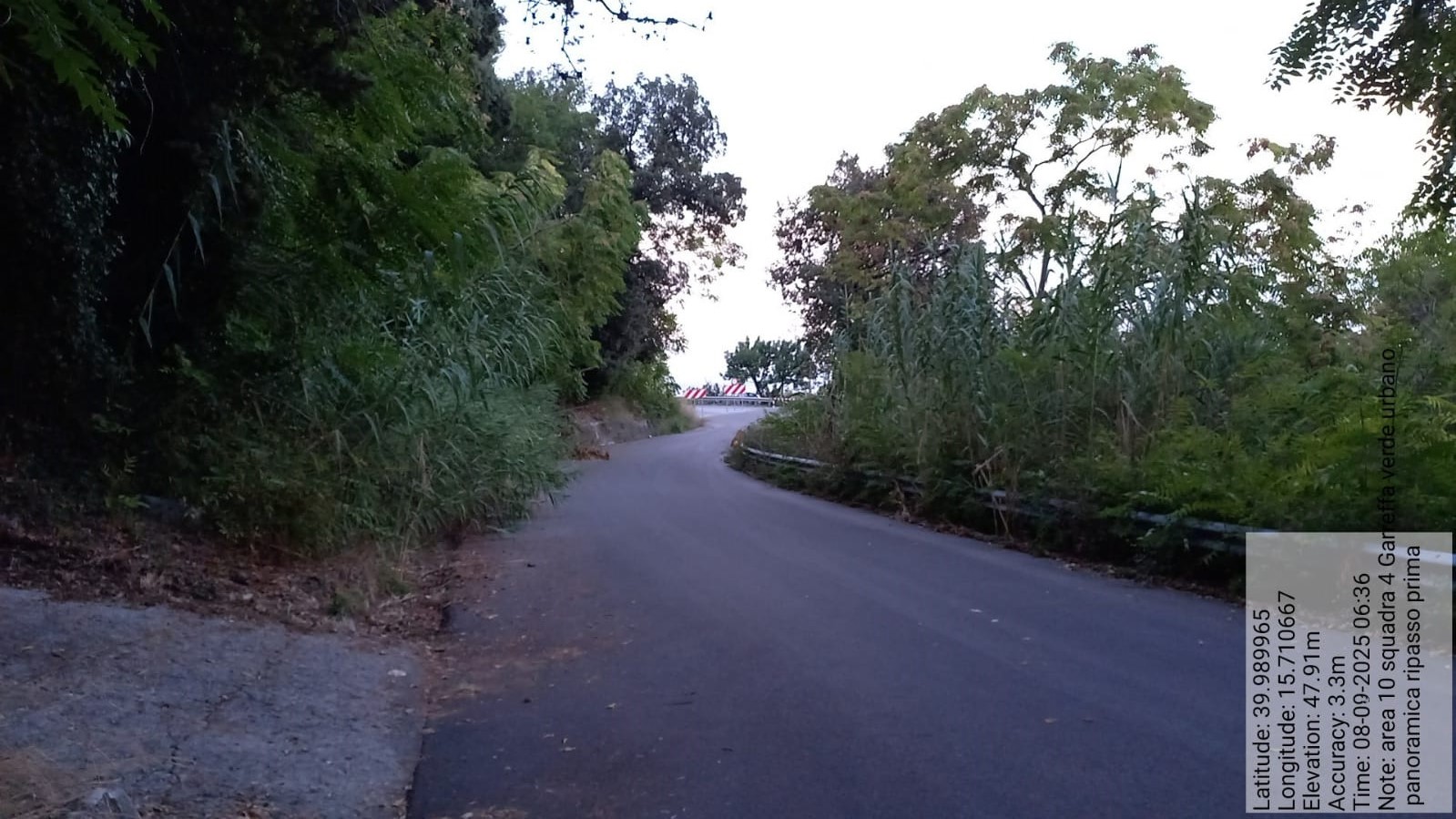 Galleria Fotografica Immagine