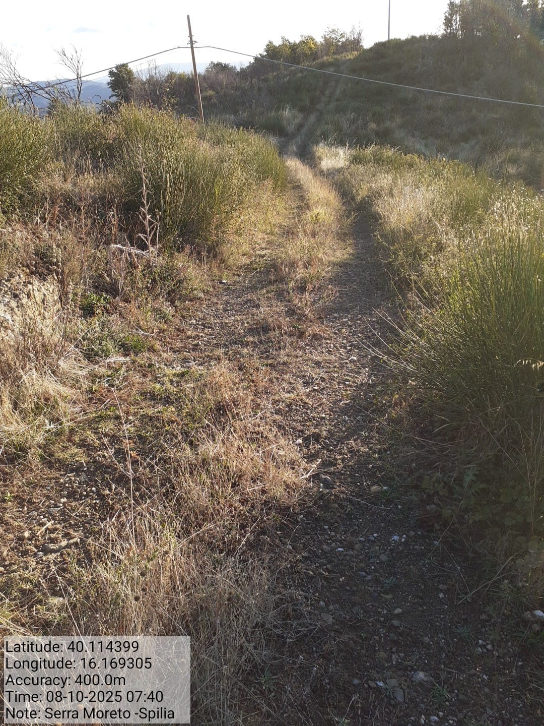 Galleria Fotografica Immagine