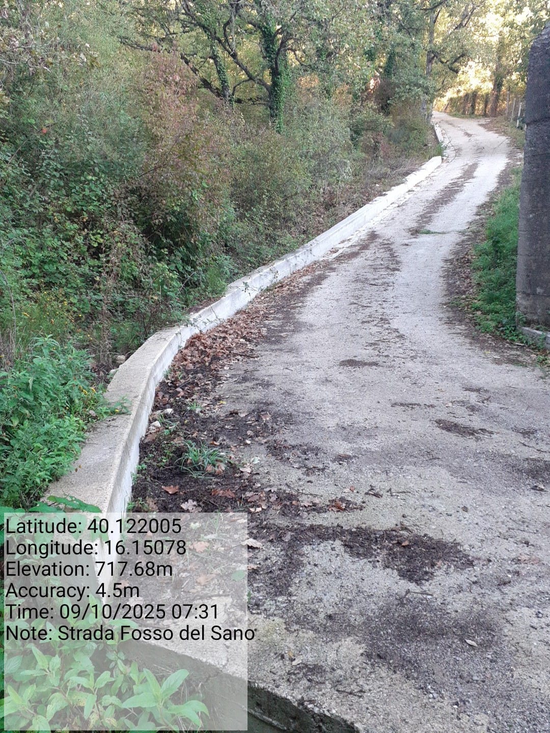 Galleria Fotografica Immagine