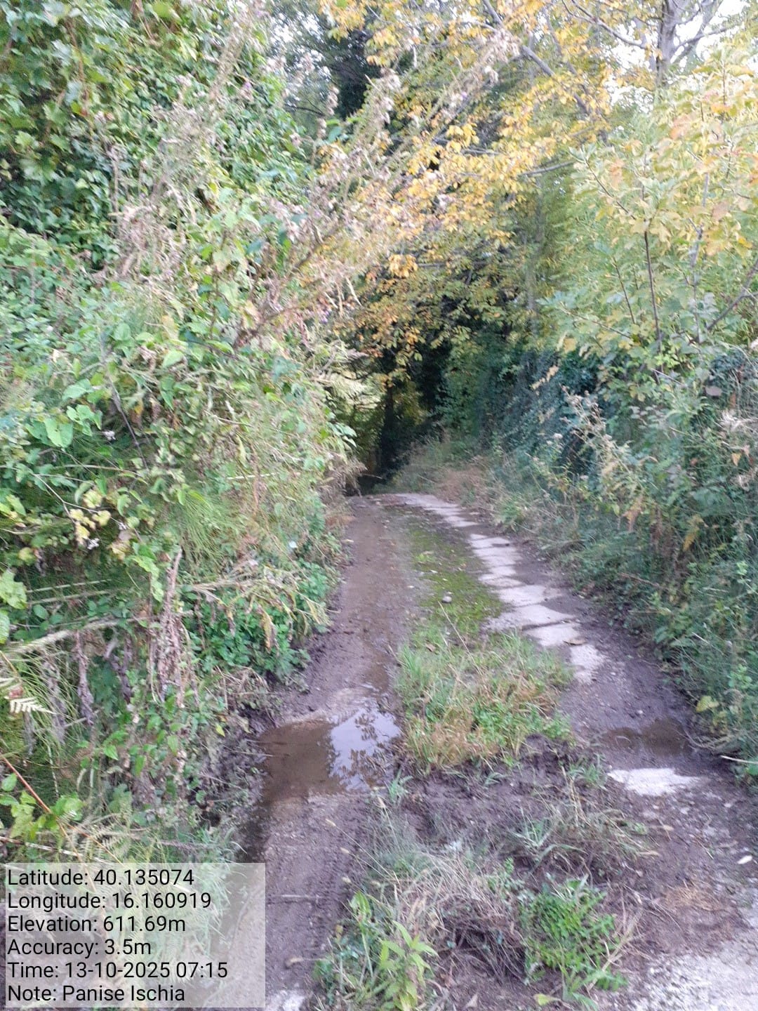 Galleria Fotografica Immagine