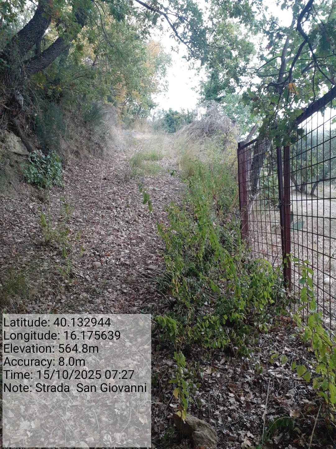 Galleria Fotografica Immagine