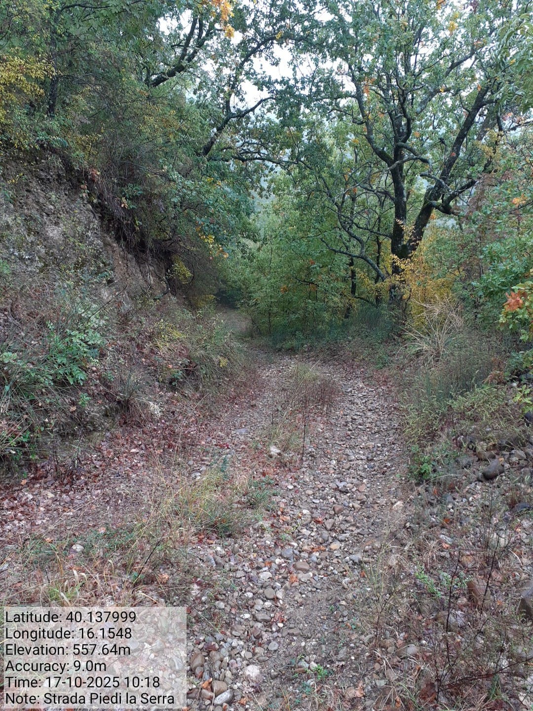 Galleria Fotografica Immagine