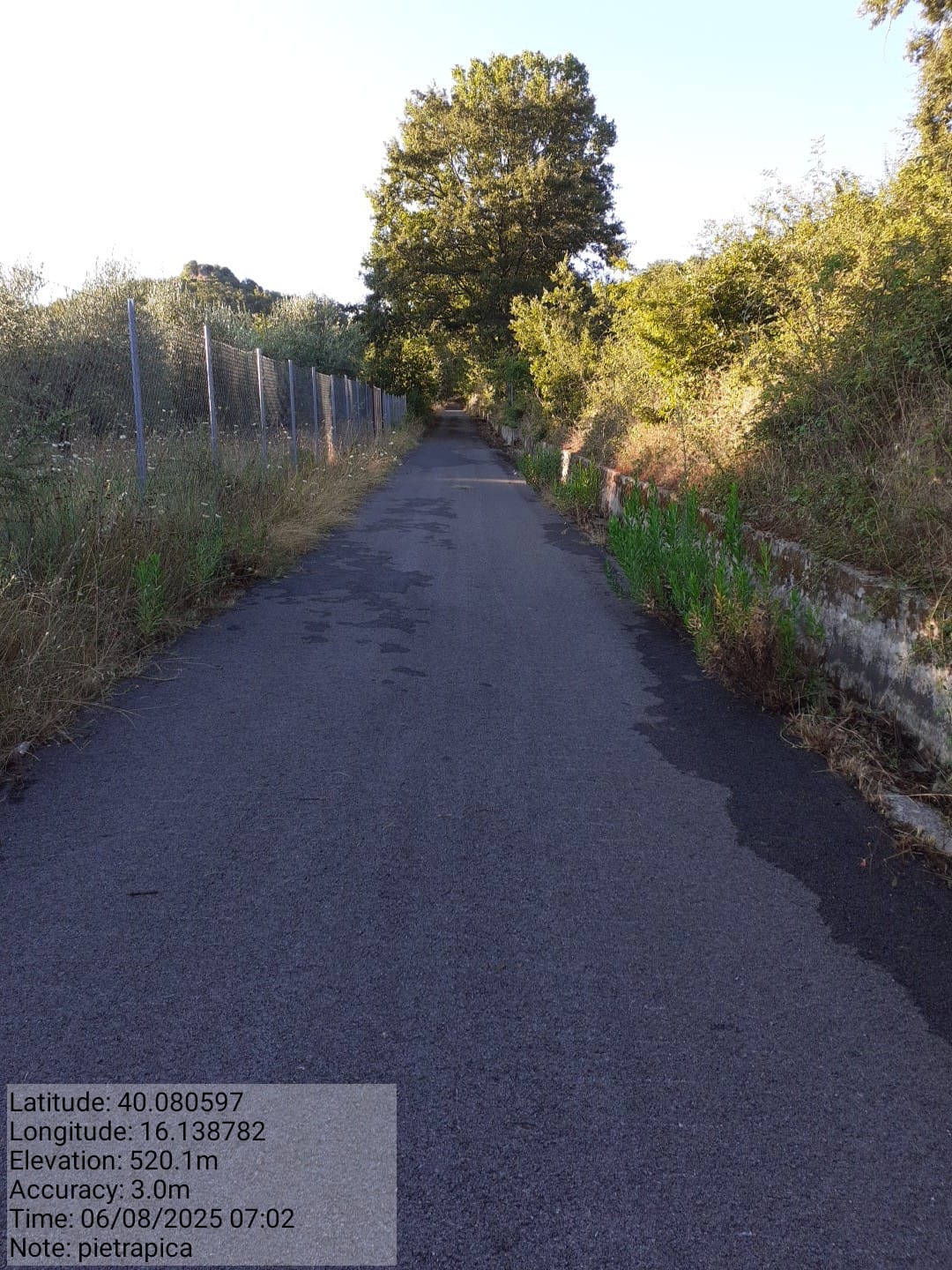 Galleria Fotografica Immagine