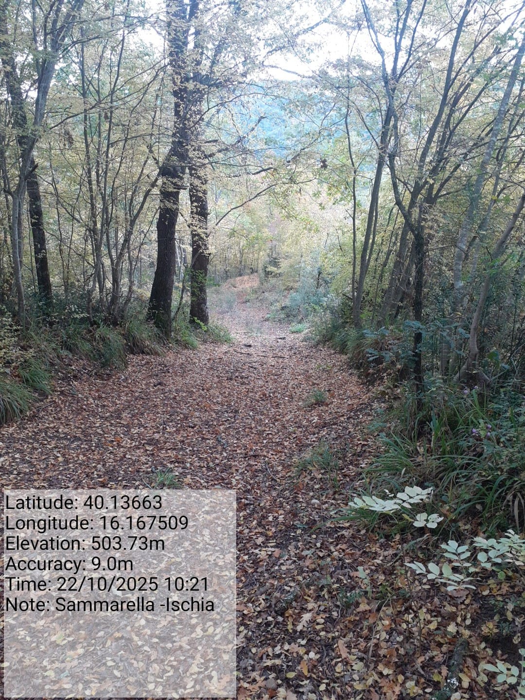 Galleria Fotografica Immagine