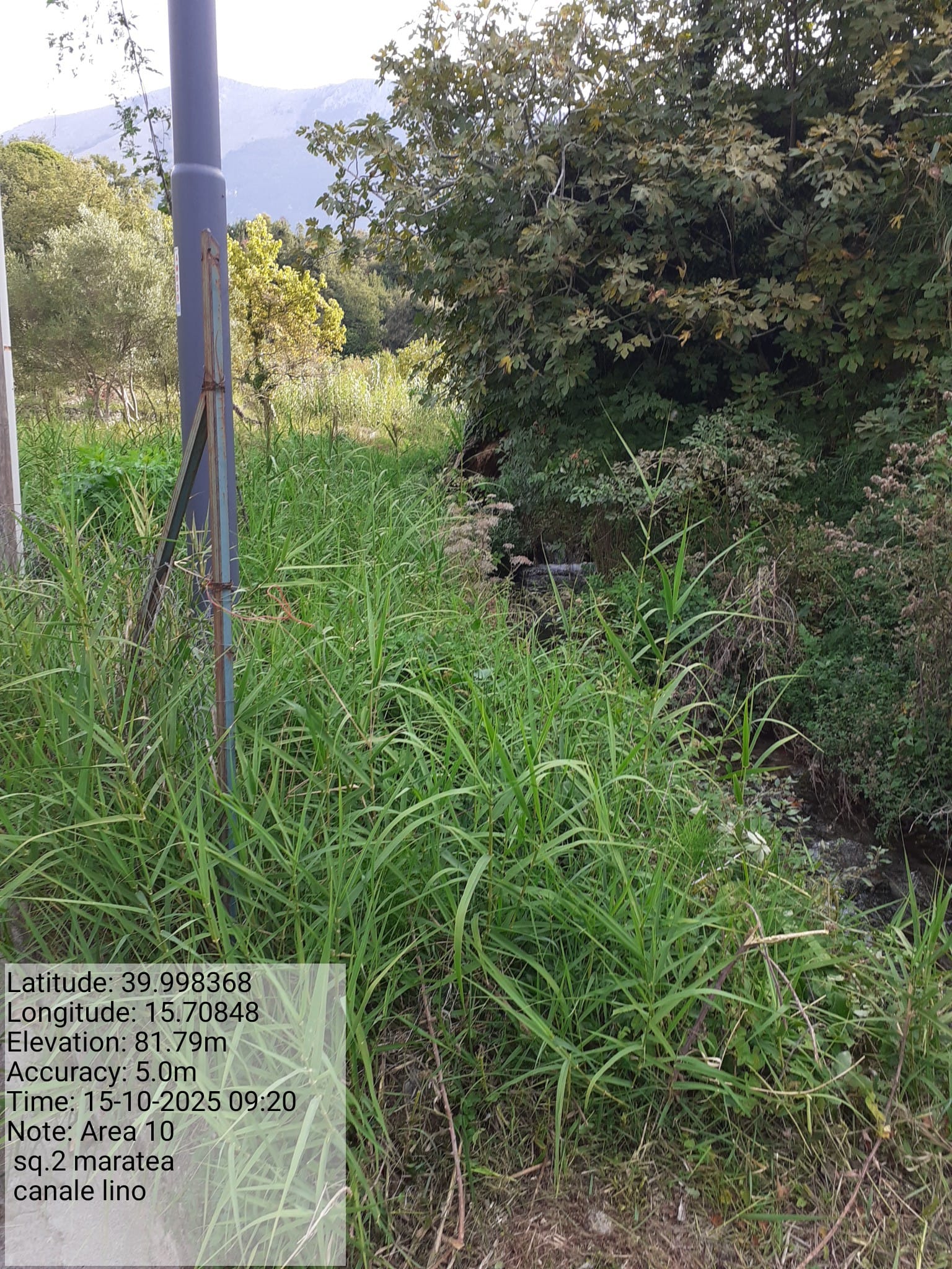 Galleria Fotografica Immagine