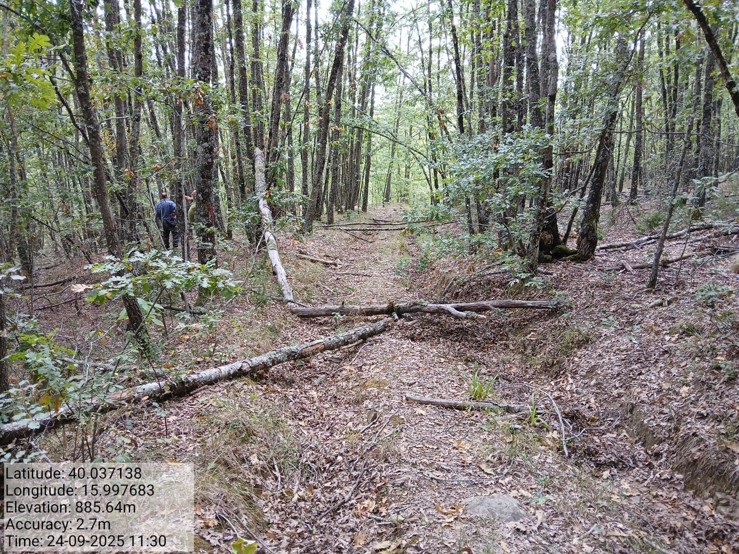 Galleria Fotografica Immagine