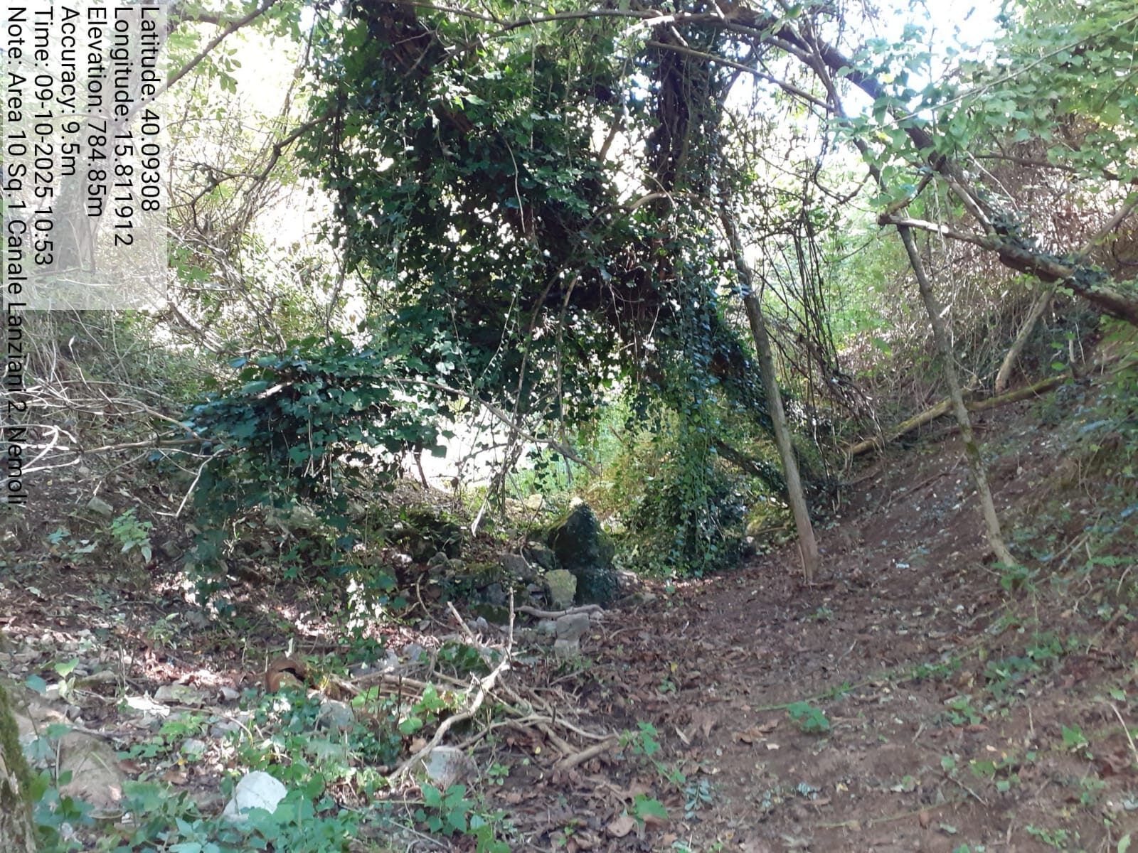 Galleria Fotografica Immagine