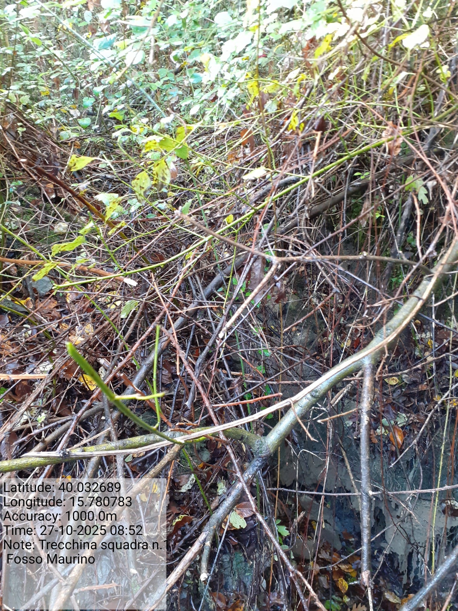 Galleria Fotografica Immagine