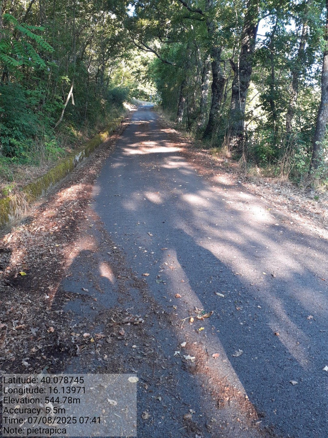 Galleria Fotografica Immagine