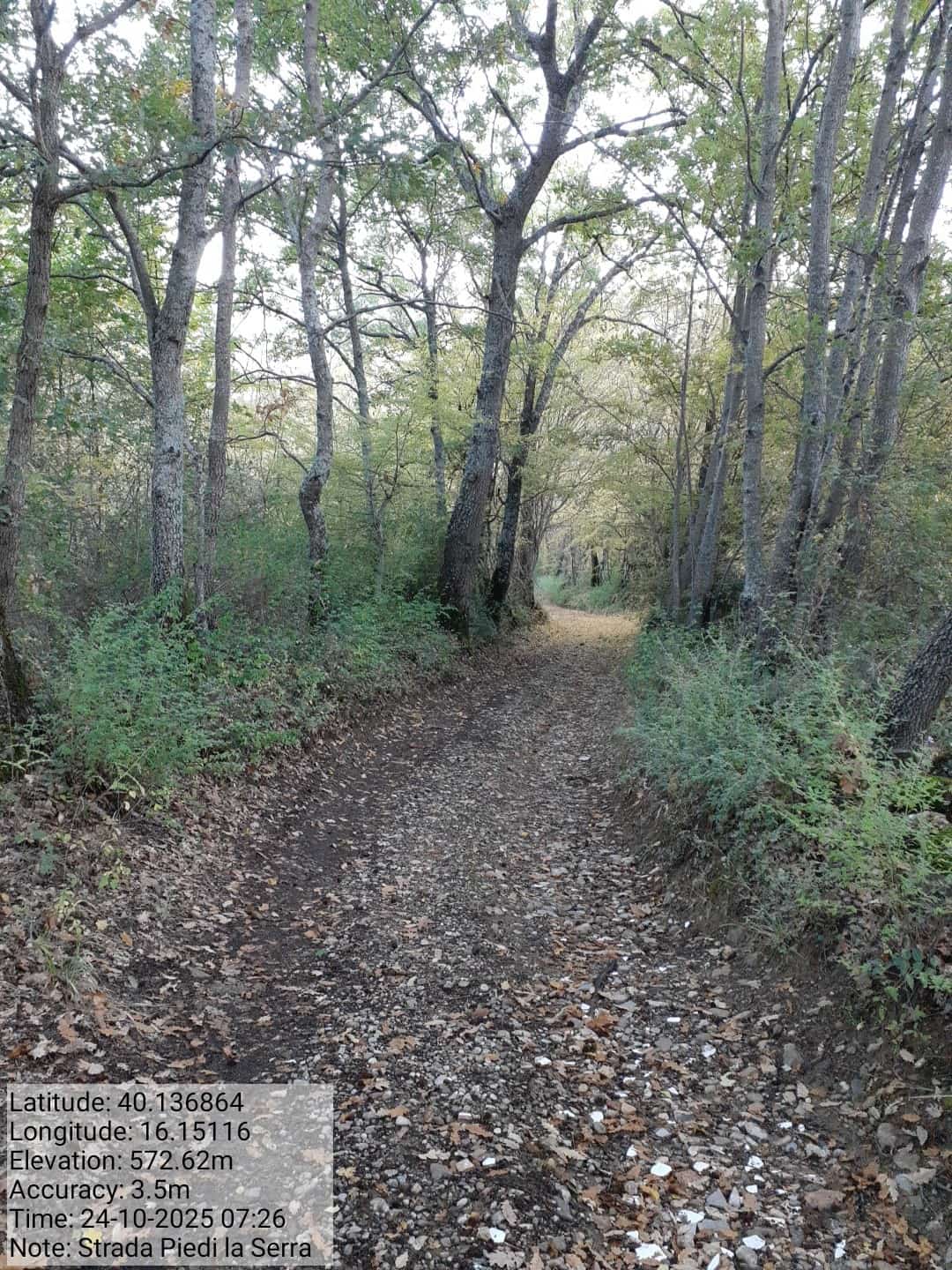 Galleria Fotografica Immagine