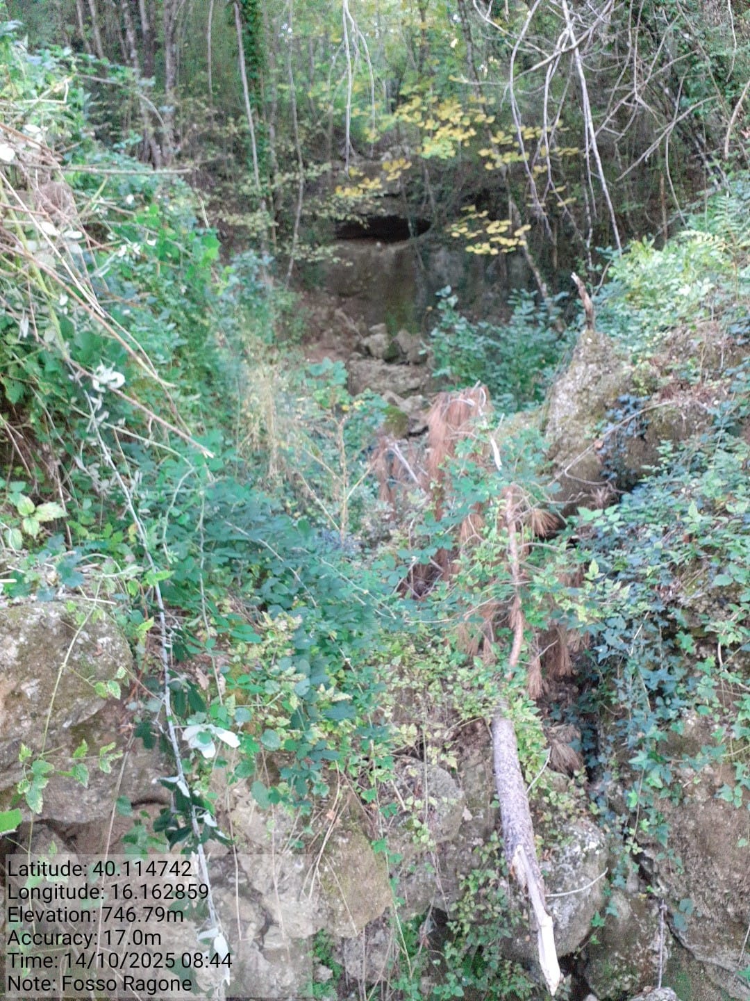 Galleria Fotografica Immagine