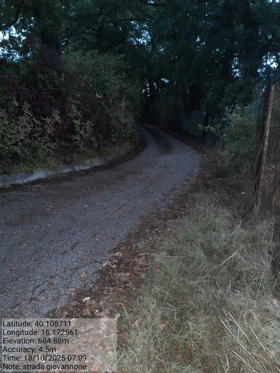 Galleria Fotografica Immagine